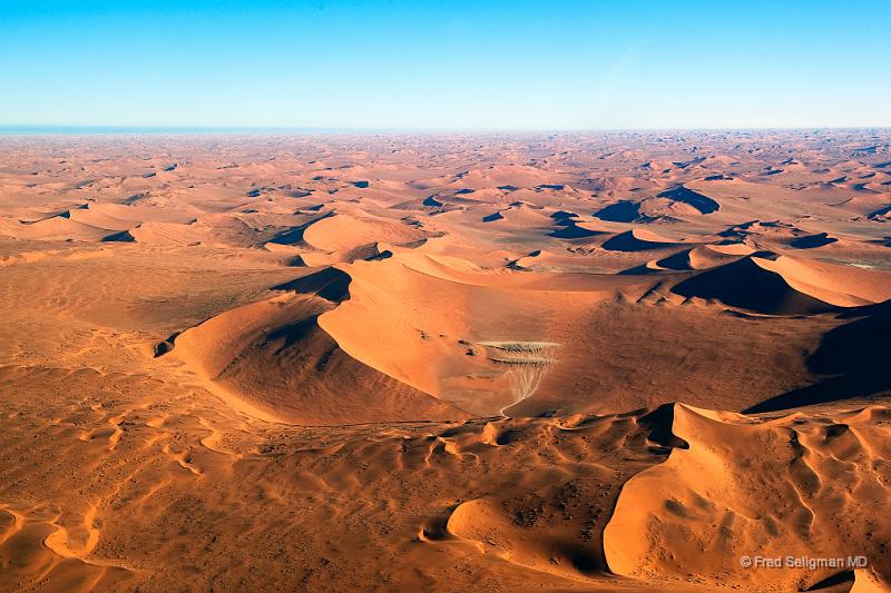 20090603_082833 D3 X1.jpg - Toward the western (Atlantic) coast of Namibia